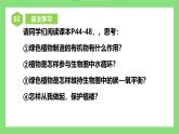 【核心素养目标】人教版初中生物七年级下册3.2.4《植物在自然界中的作用》课件+视频+教学设计+同步分层练习（含答案)