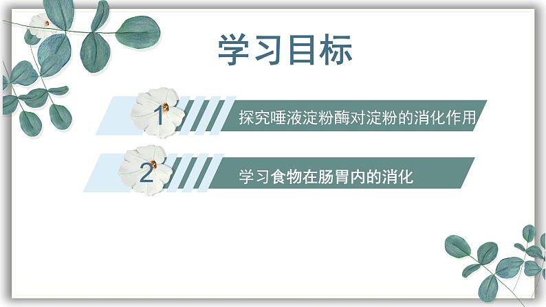 【核心素养目标】冀少版初中生物七年级下册《食物在口腔内的消化》课件pptx第3页