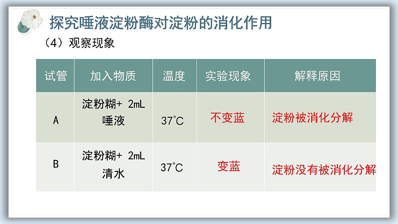 【核心素养目标】冀少版初中生物七年级下册《食物在口腔内的消化》课件pptx第7页