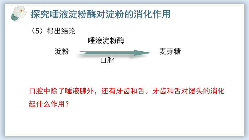 【核心素养目标】冀少版初中生物七年级下册《食物在口腔内的消化》课件pptx第8页