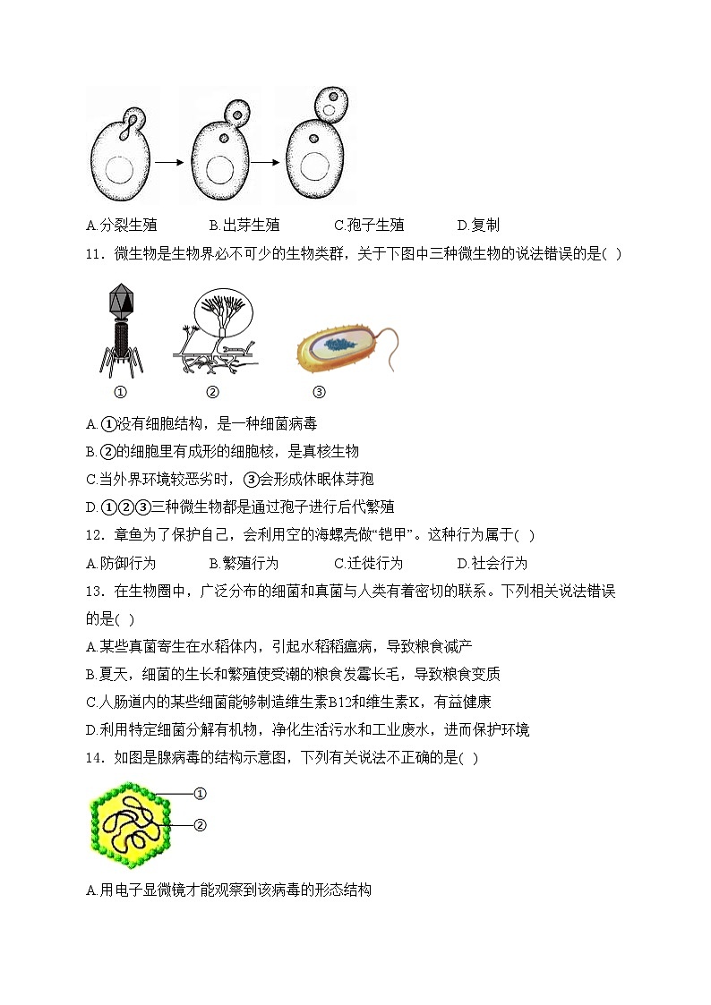 吉林省长春市公主岭市2024-2025学年八年级上学期期末生物试卷(含答案)第3页