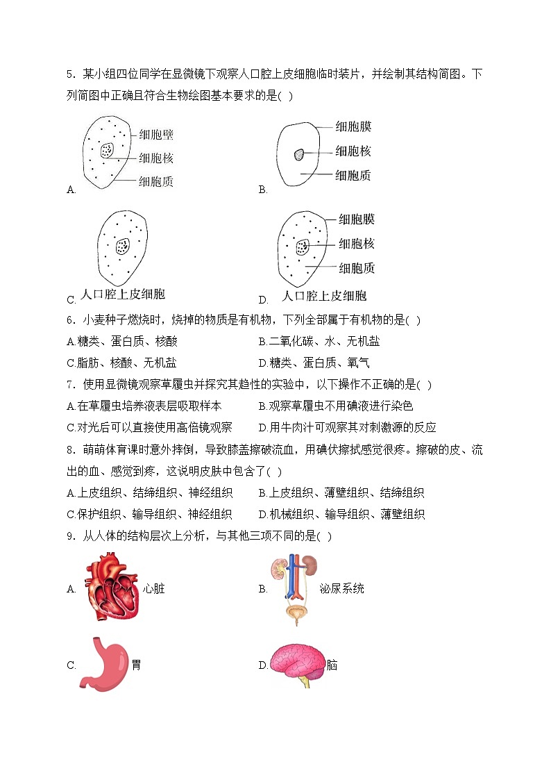 吉林省长春市绿园区2024-2025学年七年级上学期期末考试生物试卷(含答案)第2页