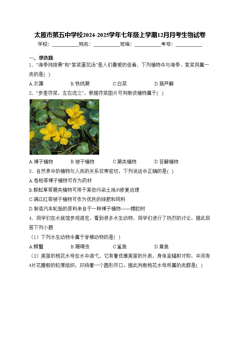 太原市第五中学校2024-2025学年七年级上学期12月月考生物试卷(含答案)第1页