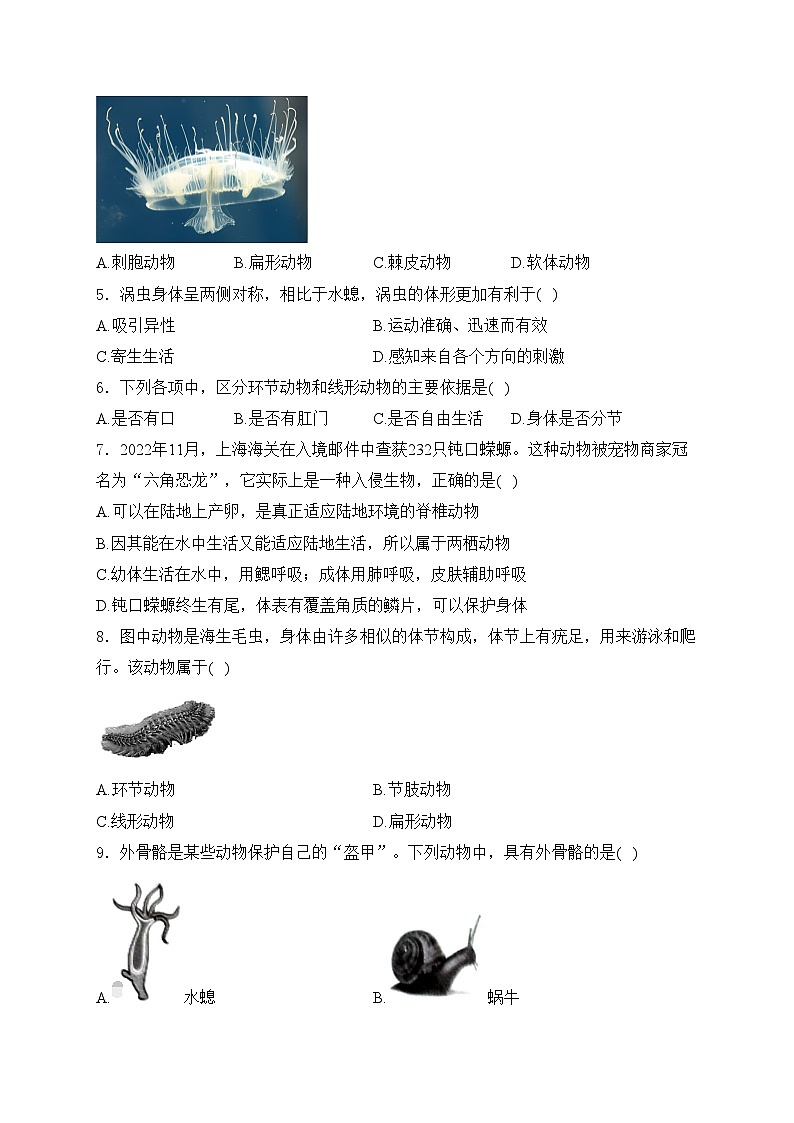 太原市第五中学校2024-2025学年七年级上学期12月月考生物试卷(含答案)第2页