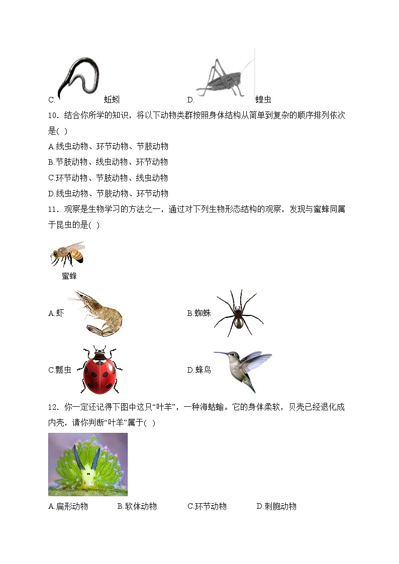 太原市第五中学校2024-2025学年七年级上学期12月月考生物试卷(含答案)第3页