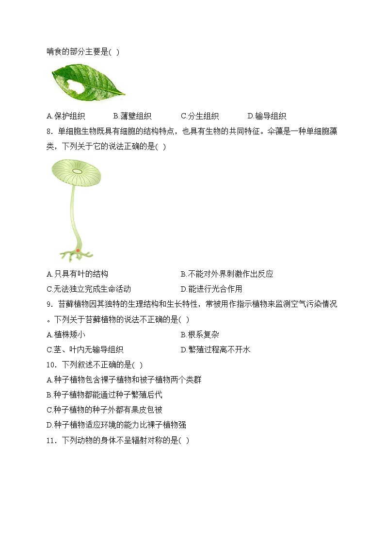 行唐县第一中学2024-2025学年七年级上学期第三次学情评估生物试卷(含答案)第2页