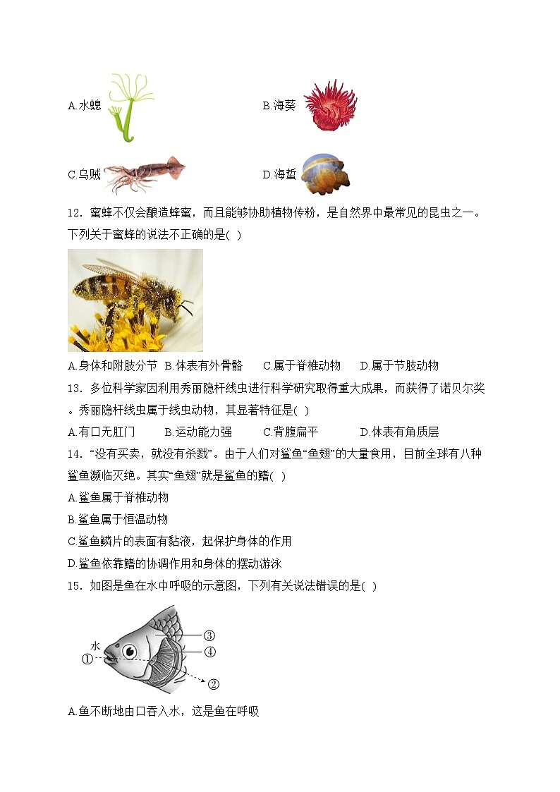 行唐县第一中学2024-2025学年七年级上学期第三次学情评估生物试卷(含答案)第3页