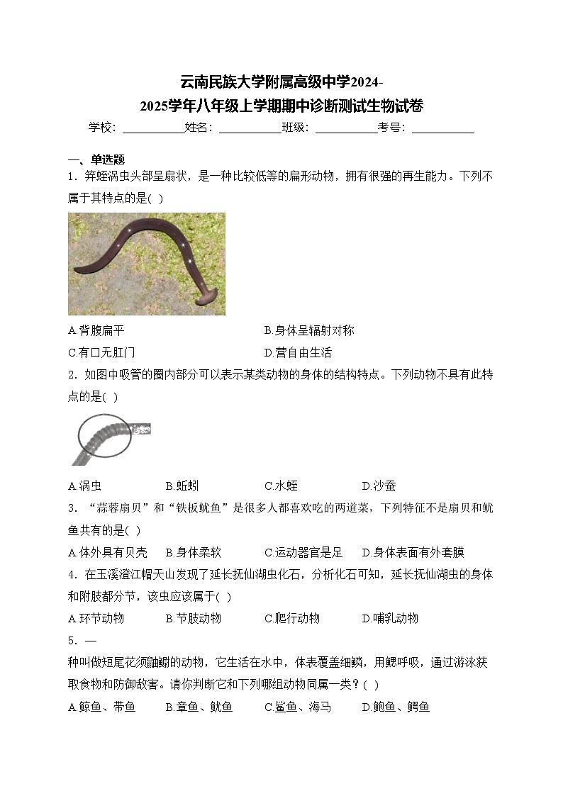 云南民族大学附属高级中学2024-2025学年八年级上学期期中诊断测试生物试卷(含答案)第1页
