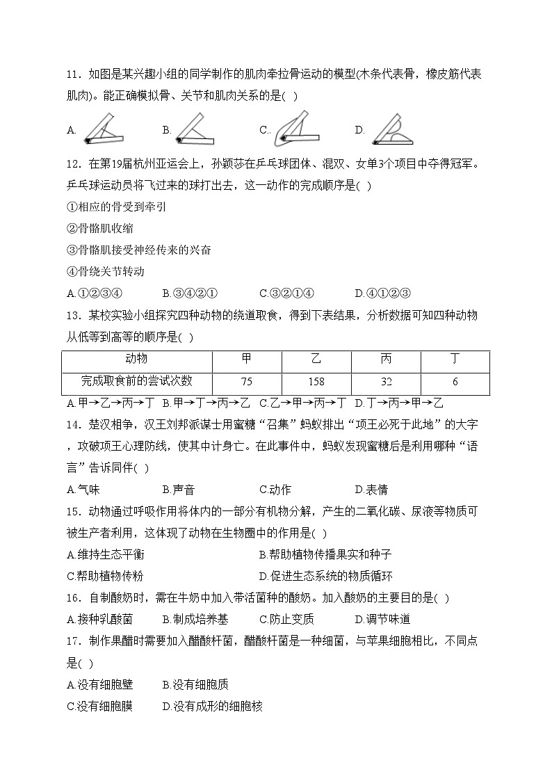 云南民族大学附属高级中学2024-2025学年八年级上学期期中诊断测试生物试卷(含答案)第3页