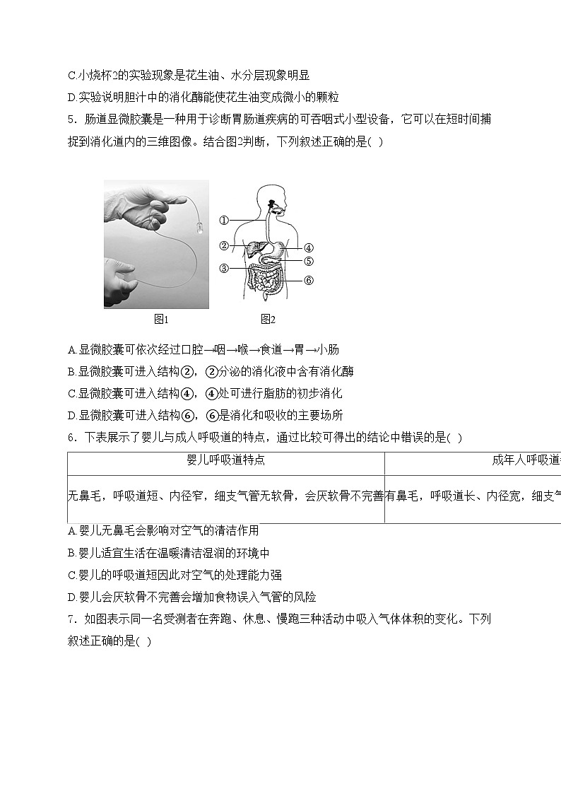 山东省泰安市肥城市2024-2025学年七年级上学期1月期末考试生物试卷(含答案)第2页