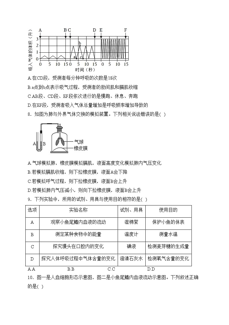 山东省泰安市肥城市2024-2025学年七年级上学期1月期末考试生物试卷(含答案)第3页