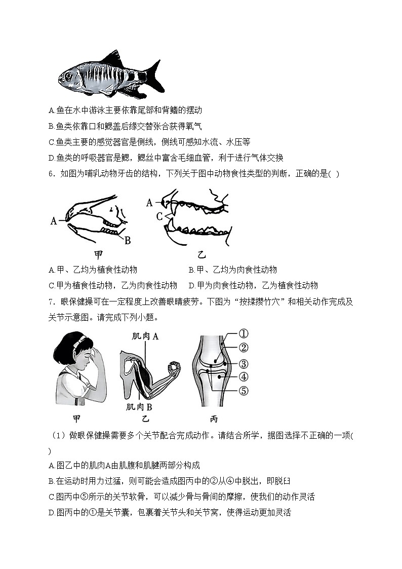 山西省朔州市怀仁市2024-2025学年八年级上学期期中测试生物试卷(含答案)第2页