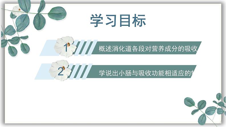 【核心素养目标】冀少版初中生物七年级下册《营养物质的吸收》课件pptx第3页