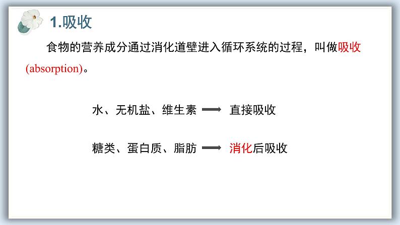 【核心素养目标】冀少版初中生物七年级下册《营养物质的吸收》课件pptx第5页