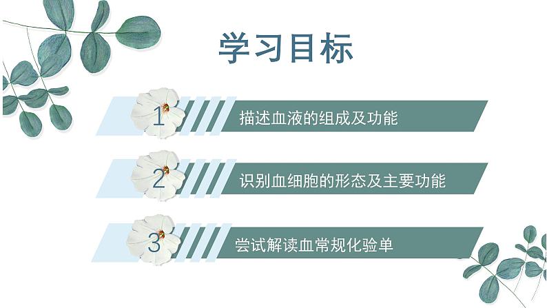 【核心素养目标】冀少版初中生物七年级下册《血液》课件第3页