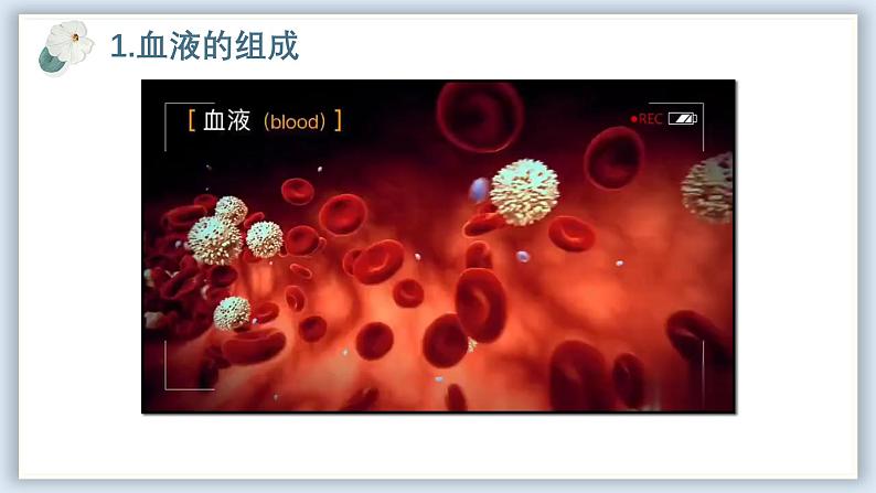 【核心素养目标】冀少版初中生物七年级下册《血液》课件第5页