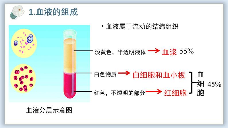 【核心素养目标】冀少版初中生物七年级下册《血液》课件第6页