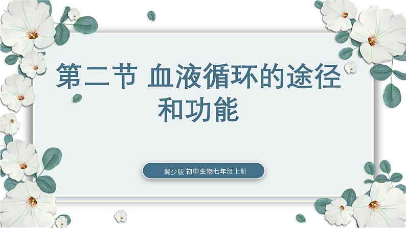 【核心素养目标】冀少版初中生物七年级下册《血液循环的途径和功能》课件 - 副本第1页