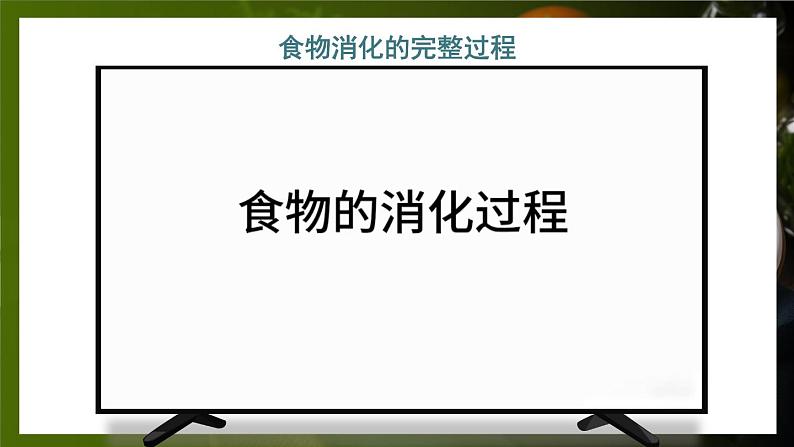 第1课时 消化系统的组成 食物在口腔内的消化第5页