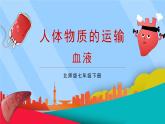 北师大版（2024）生物七年级下册--4.7.1 血液（课件）