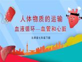 北师大版（2024）生物七年级下册--4.7.2 血液循环（课件）
