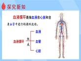 北师大版（2024）生物七年级下册--4.7.2 血液循环（课件）