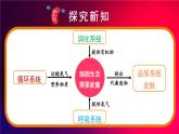 北師大版（2024）生物七年級(jí)下冊(cè)--4.9.1 人體產(chǎn)生的代謝廢物（課件）