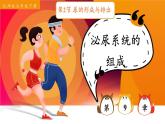 北师大版（2024）生物七年级下册--4.9.2 尿的形成与排出（课件）