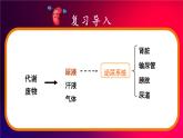 北师大版（2024）生物七年级下册--4.9.2 尿的形成与排出（课件）