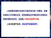 北师大版（2024）生物七年级下册--4.10.1 神经系统与神经调节（课件）