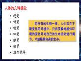 北师大版（2024）生物七年级下册--4.10.2 感受器和感觉器官（课件）