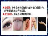 北师大版（2024）生物七年级下册--4.10.2 感受器和感觉器官（课件）