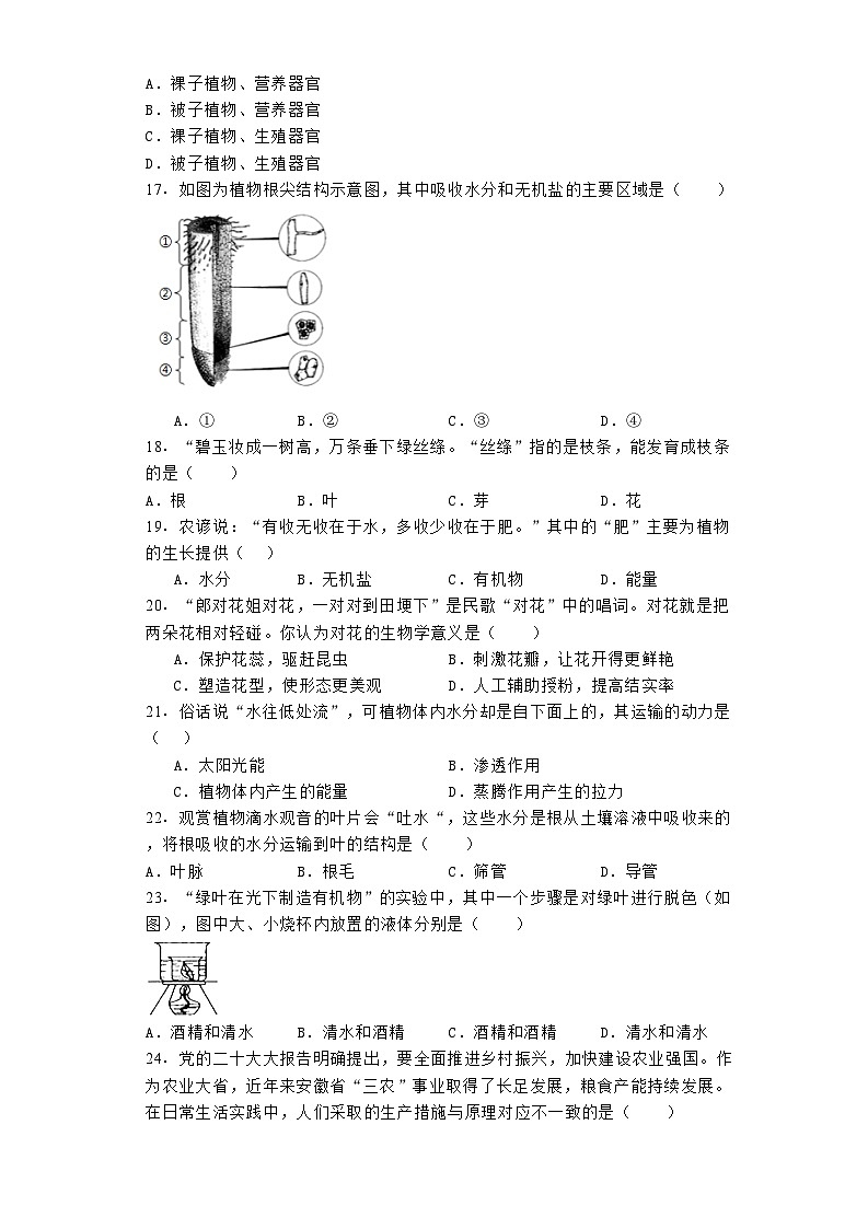 安徽省安庆市2023-2024学年七年级上学期 生物期末试题（含解析）第3页