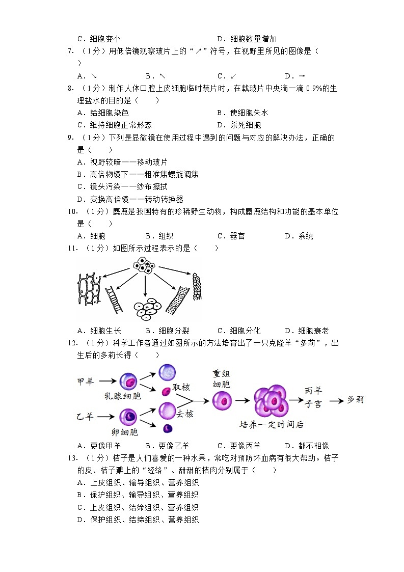 北京市石景山区2023-2024学年七年级（上）期末 生物试卷（含解析）第2页