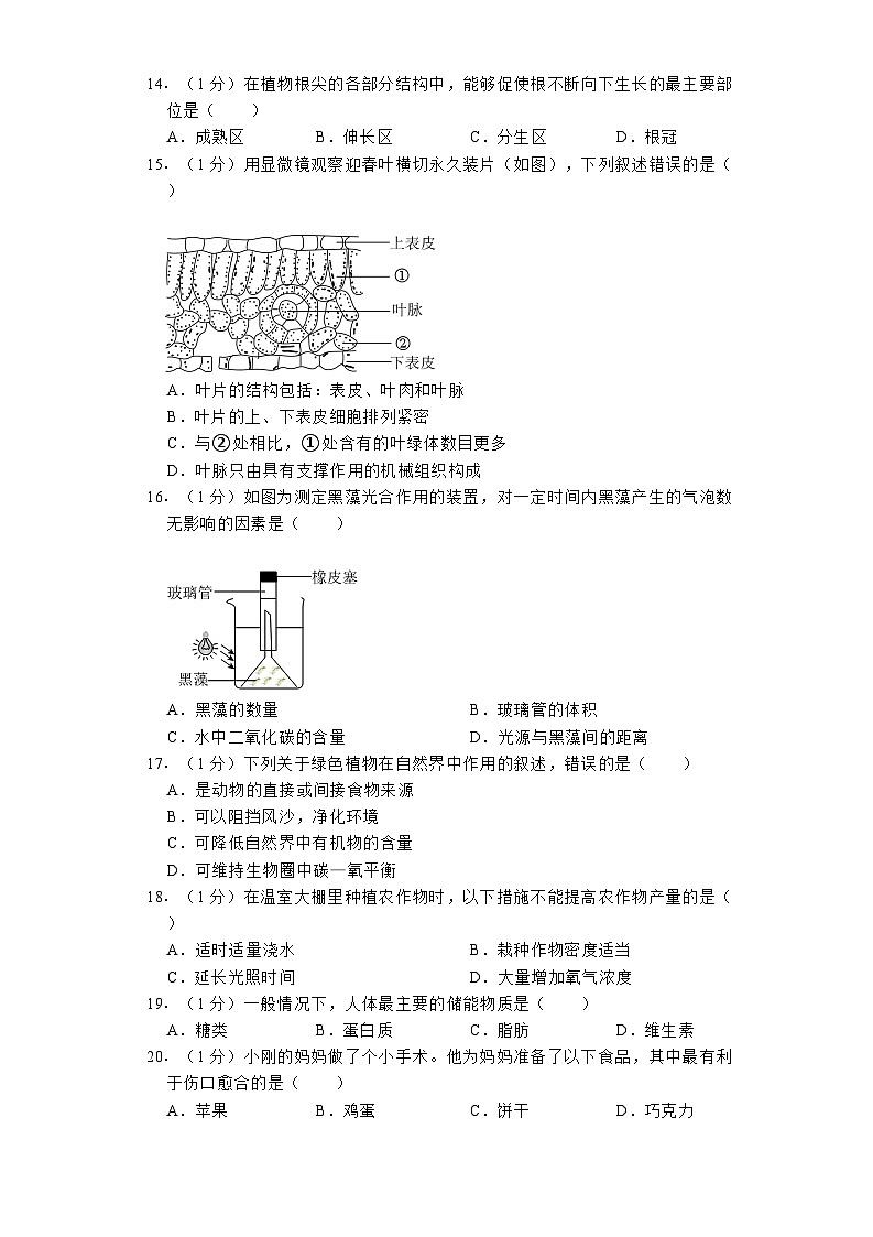 北京市石景山区2023-2024学年七年级（上）期末 生物试卷（含解析）第3页