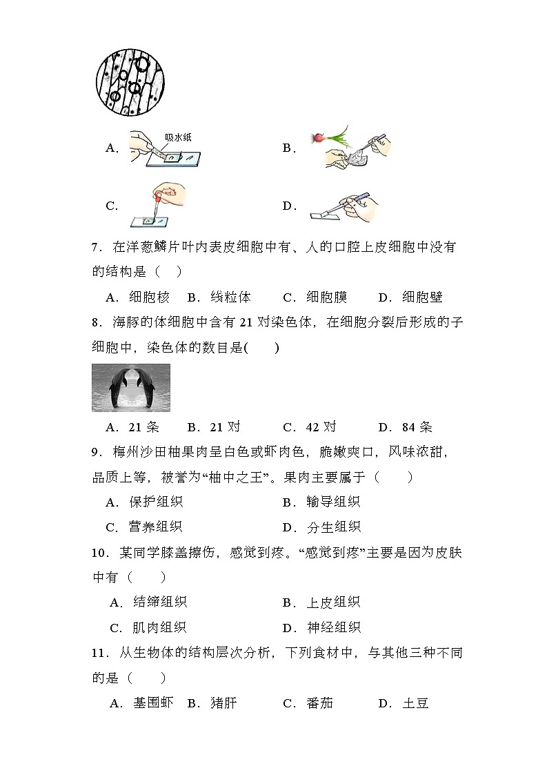 广东省河源市紫金县2023-2024学年七年级上学期期末 生物试题（含解析）第2页