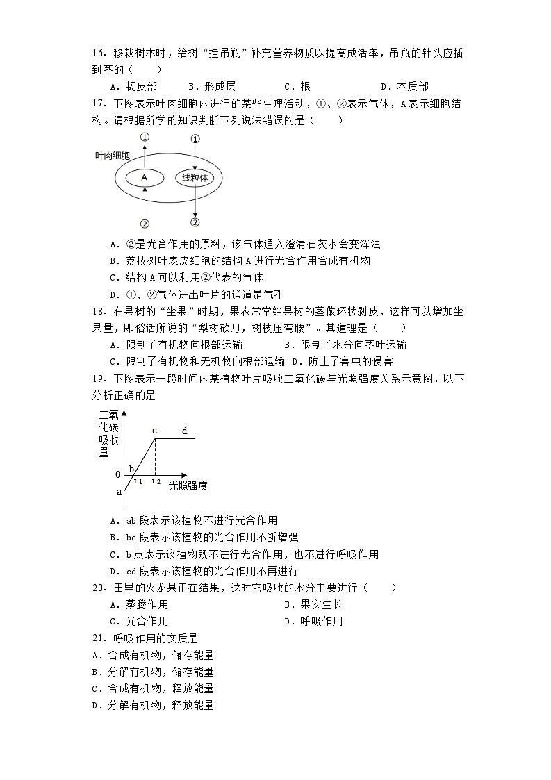 广东省湛江经济技术开发区2023-2024学年七年级上学期期末 生物试题（含解析）第3页
