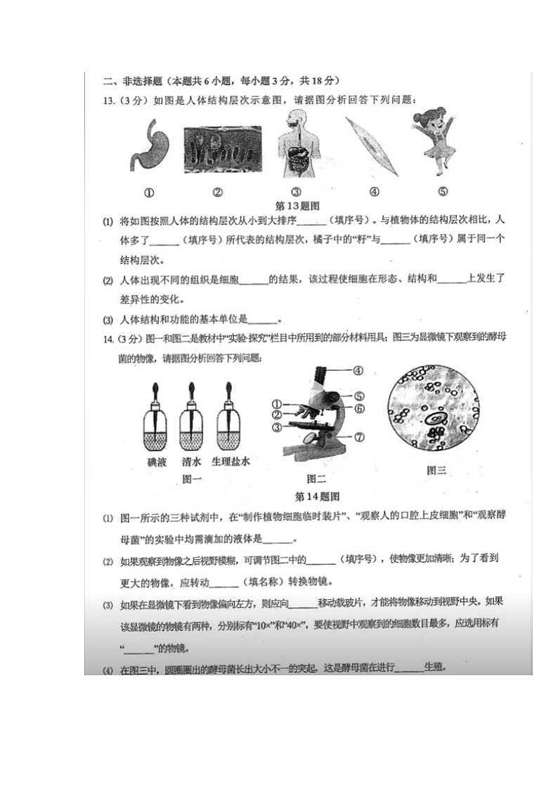 贵州省遵义市汇川区2024-2025学年七年级上学期12月期末 生物试题第3页