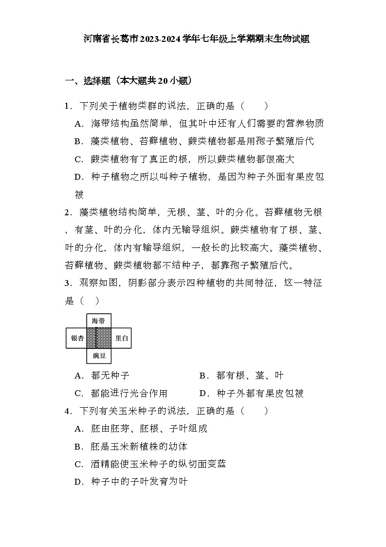 河南省长葛市2023-2024学年七年级上学期期末 生物试题（含解析）第1页