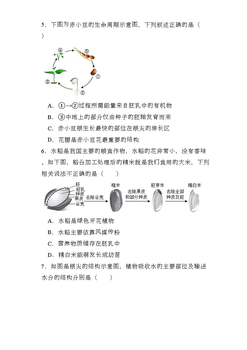 河南省长葛市2023-2024学年七年级上学期期末 生物试题（含解析）第2页