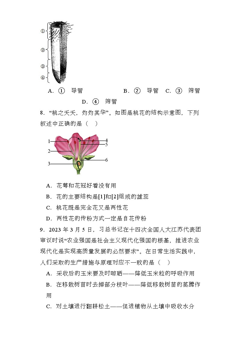 河南省长葛市2023-2024学年七年级上学期期末 生物试题（含解析）第3页