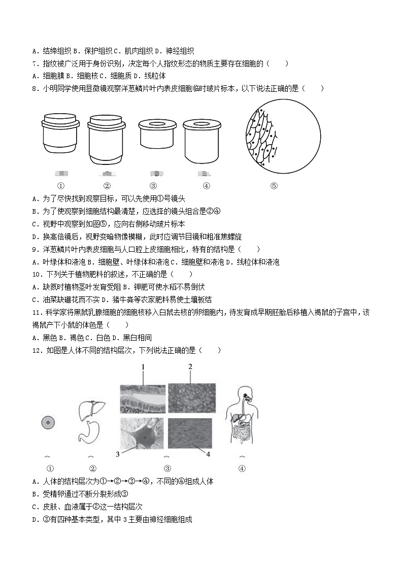 湖南省邵阳市邵阳县2023-2024学年七年级上学期期末 生物试题第2页