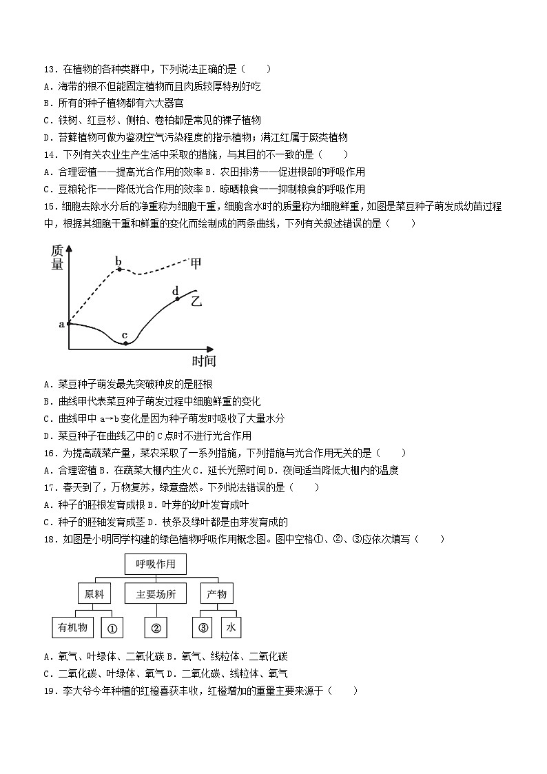 湖南省邵阳市邵阳县2023-2024学年七年级上学期期末 生物试题第3页
