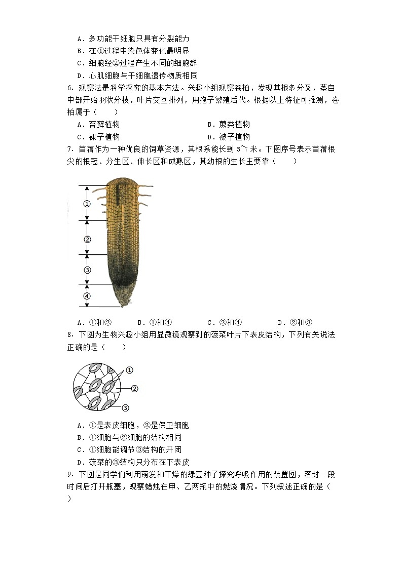 内蒙古呼和浩特市2023-2024学年七年级上学期期末 生物试题（含解析）第2页