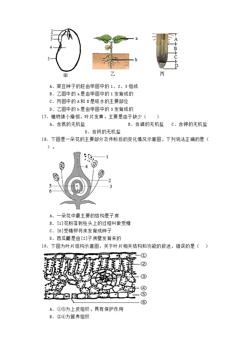 内蒙古通辽市科尔沁左翼中旗2023-2024学年七年级上学期期末 生物试题（含解析）第3页