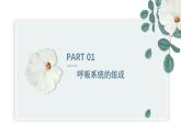 【核心素养目标】冀少版初中生物七年级下册《呼吸系统的组成》课件+教案（表格式）