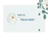 【核心素养目标】冀少版初中生物七年级下册《肺与外界的气体交换》课件+教案（表格式）