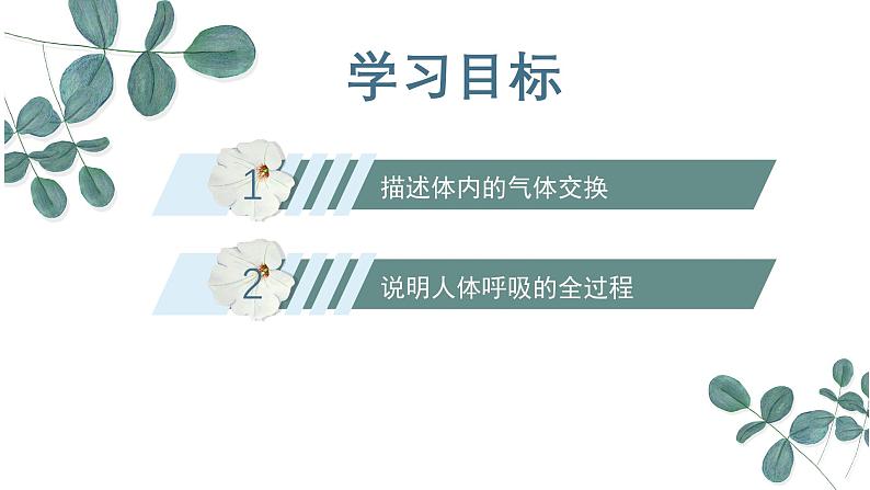 【核心素养目标】冀少版初中生物七年级下册《体内的气体交换》课件第3页