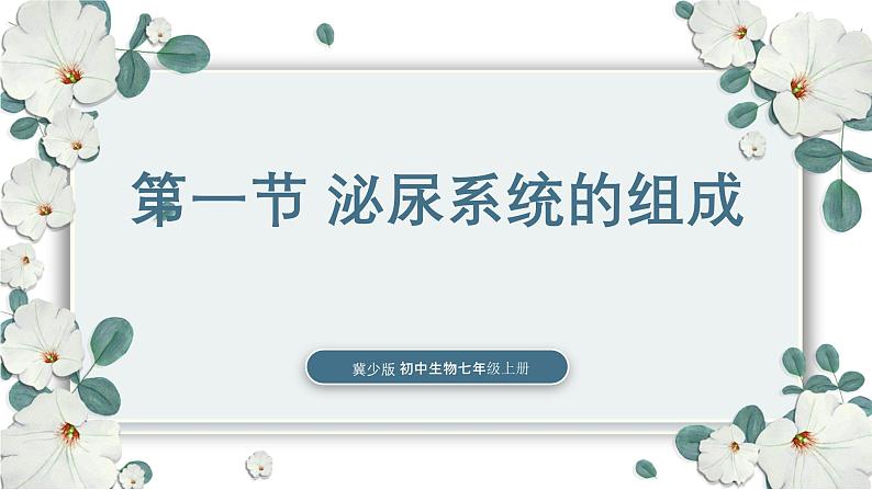 【核心素养目标】冀少版初中生物七年级下册《泌尿系统的组成》课件第1页