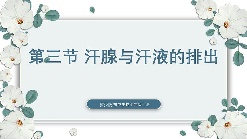 【核心素养目标】冀少版初中生物七年级下册《汗腺与汗液的排出》课件第1页